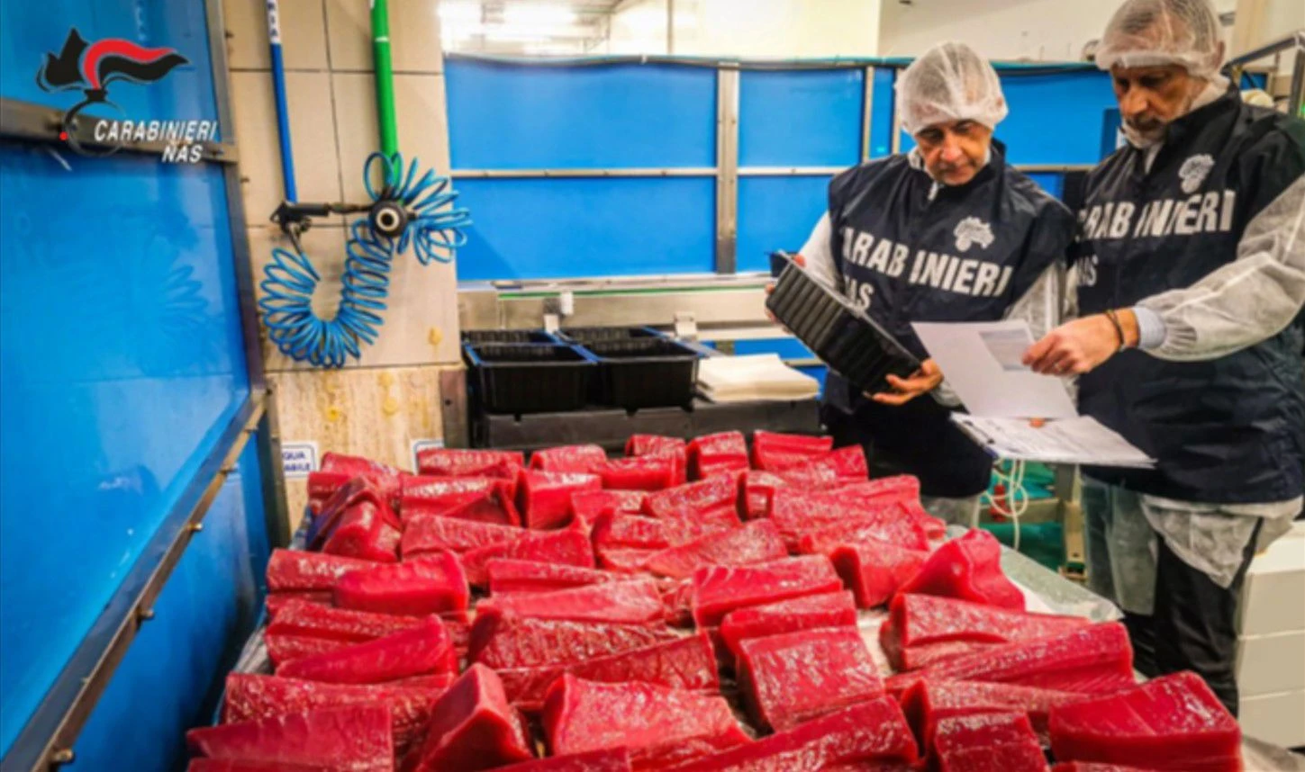 Catanzaro, sequestrati in una pescheria 15 chili di prodotti ittici privi di rintracciabilità