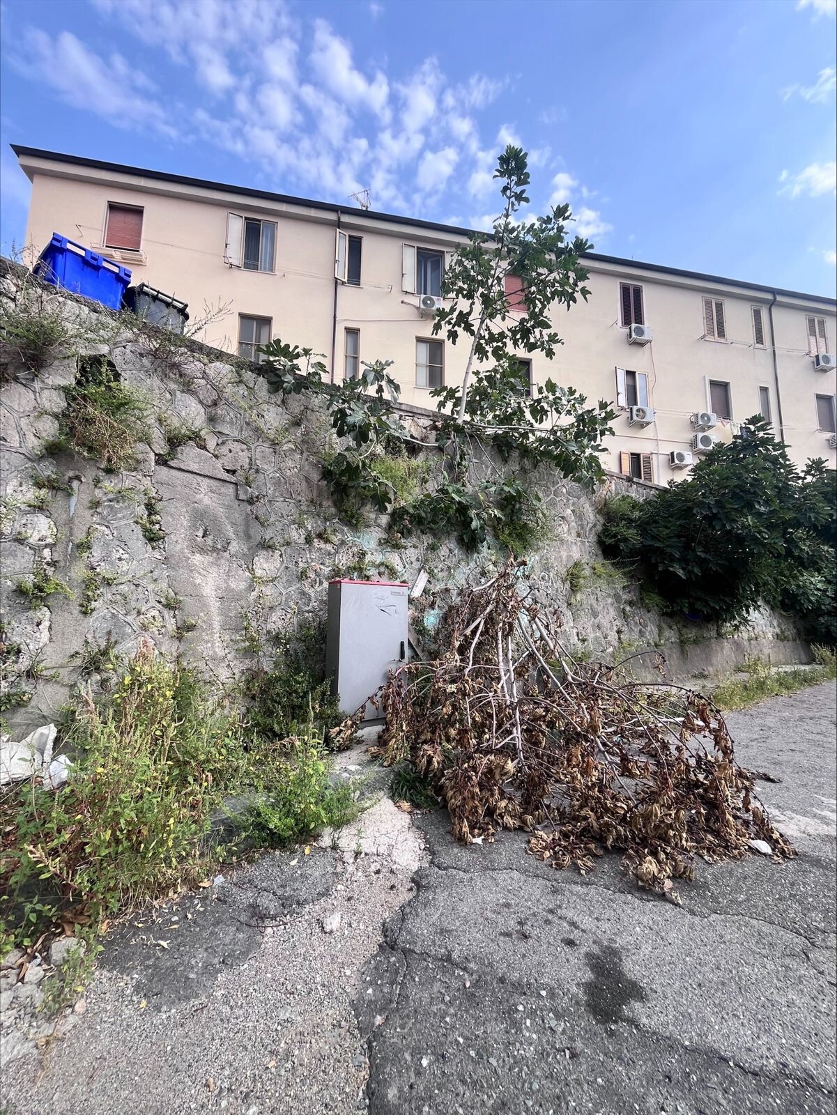 Veraldi: "Via Stretto Cappuccini, ennesima dimostrazione della carnevalesca gestione del Settore Ambiente a guida Pd" images Veraldi: "Via Stretto Cappuccini, ennesima dimostrazione della carnevalesca gestione del Settore Ambiente a guida Pd"