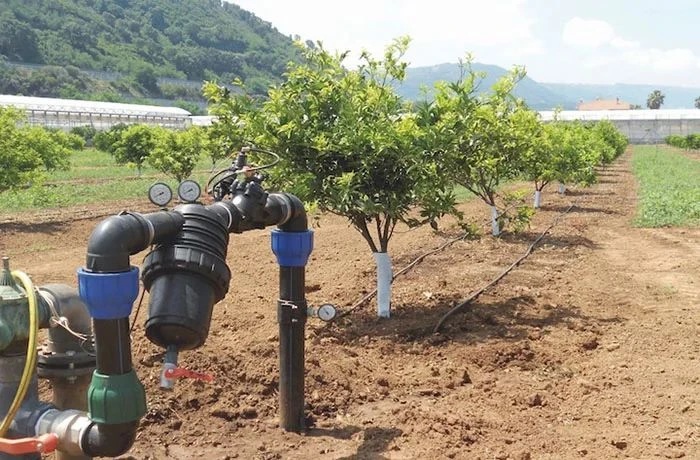 Agricoltura moderna: 6 milioni di euro per mettere in sicurezza le condotte di 6 comuni calabresi