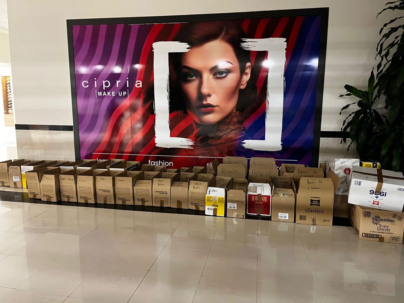 A Cropani la colletta alimentare del Lions Medio Jonio images A Cropani la colletta alimentare del Lions Medio Jonio