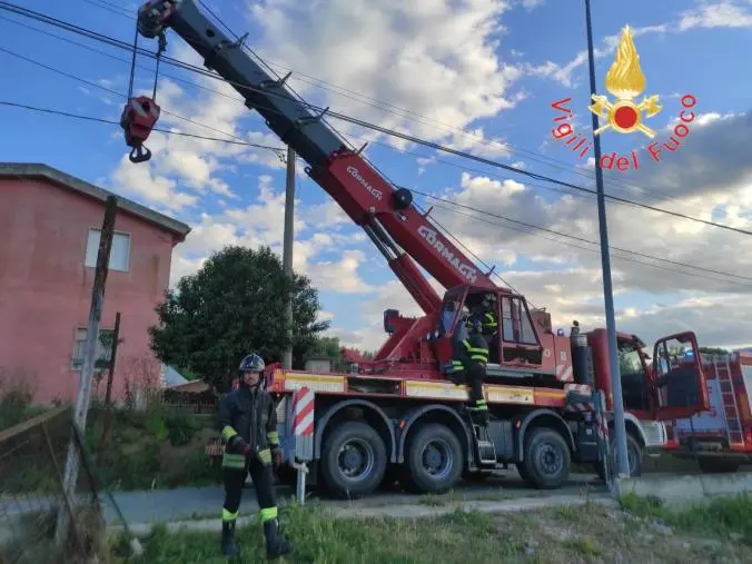 Cavallo cade in un pozzo a Crotone, salvato dai vigili del fuoco images Cavallo cade in un pozzo a Crotone, salvato dai vigili del fuoco
