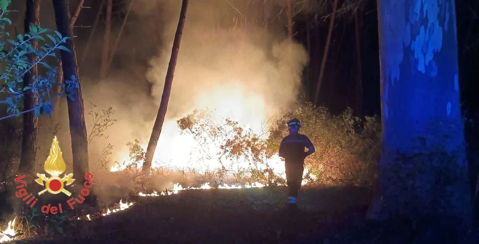 Acconia di Curinga (CZ), ettari di pineta distrutti dalle fiamme: impegnati i Vigili del Fuoco per l'intera giornata