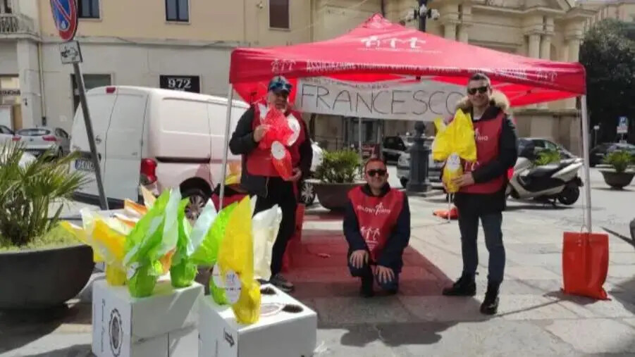 images Catanzaro, tornano in piazza le Uova AIL: dal 4 al 6 aprile tre giorni per donare speranza