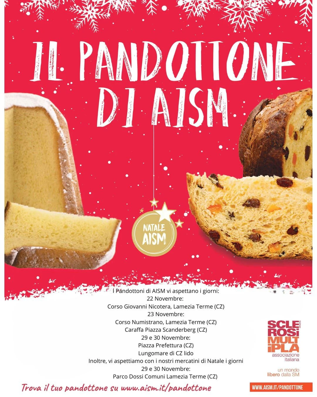 Tornano anche quest’anno i Pandottoni AISM per sostenere la ricerca: ecco dove  