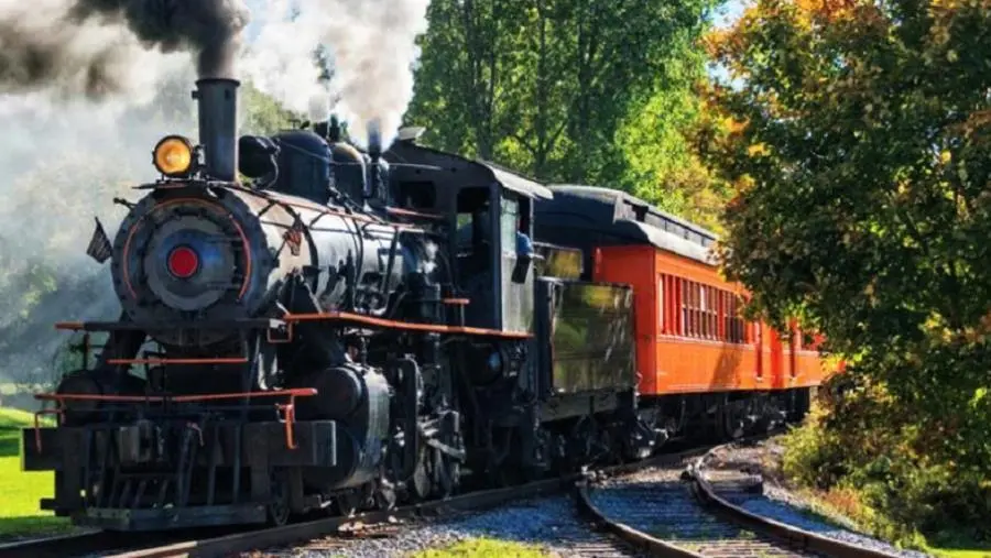 Torna a sbuffare il Treno della Sila  images Torna a sbuffare il Treno della Sila