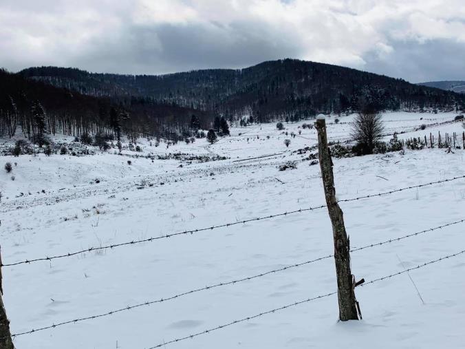 La riflessione di Felice Foresta su “Augias, il confine e il senso del limite” images La riflessione di Felice Foresta su “Augias, il confine e il senso del limite”