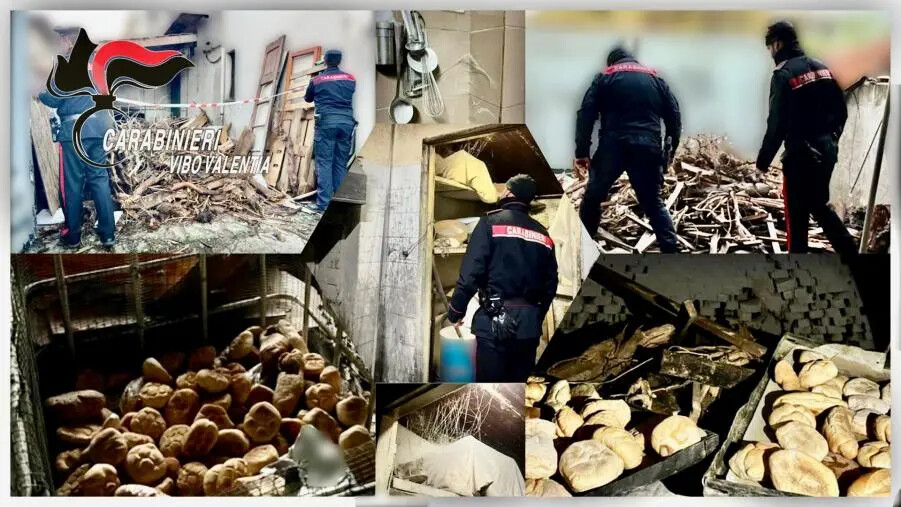 images Vibo, gravi irregolarità in un panificio e dopo la sospensione il titolare prosegue l'attività: denunciato
