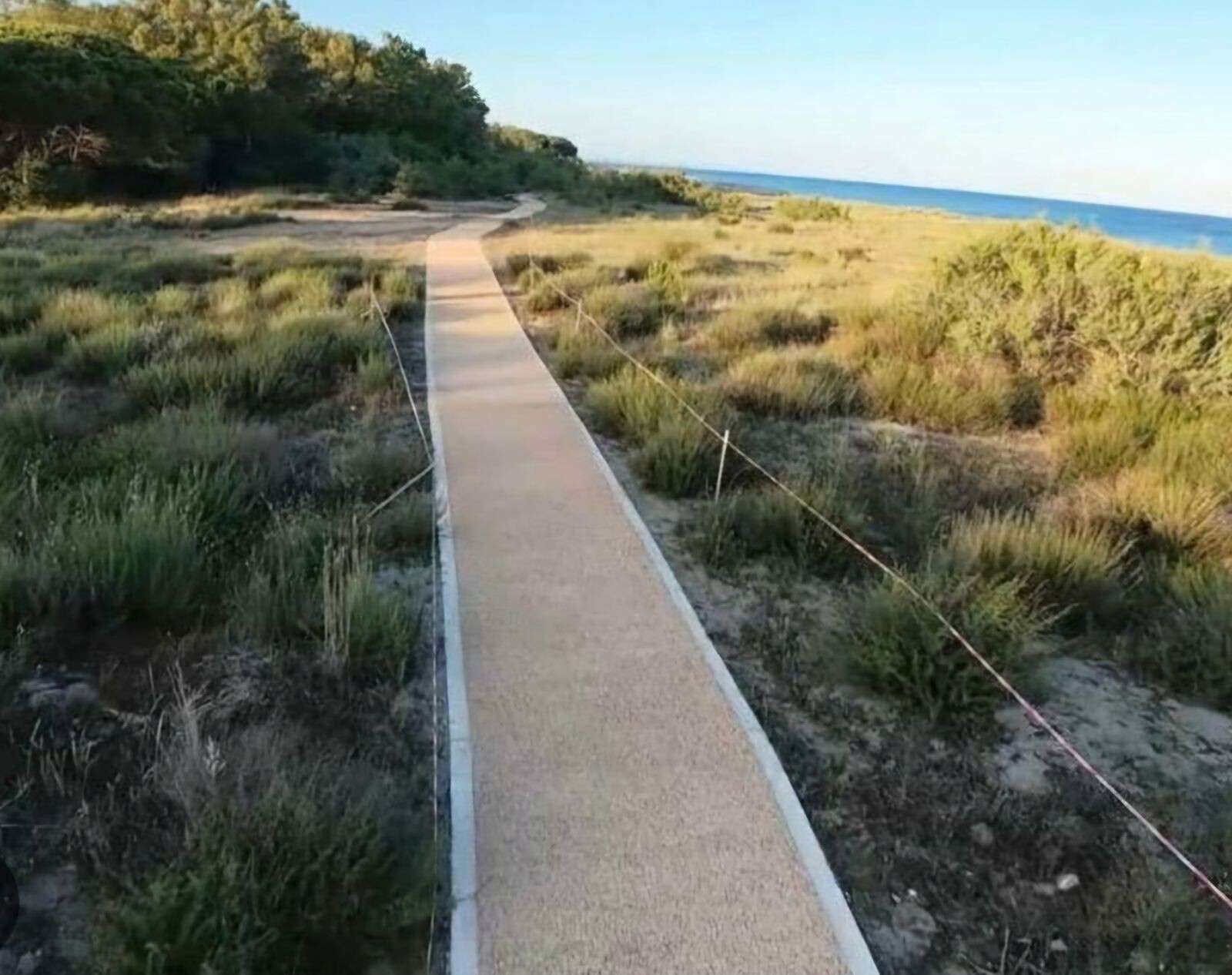 images Piste ciclabili a Catanzaro Riccio: "Capellupo difende l’indifendibile"