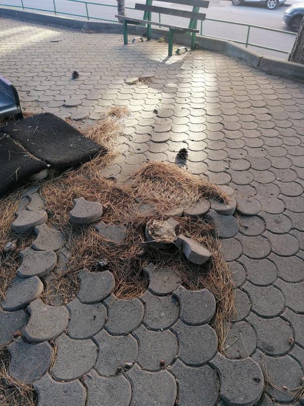 Catanzaro. Sergio Costanzo: "I parchi pubblici ostaggio di abbandono e degrado" images Catanzaro. Sergio Costanzo: "I parchi pubblici ostaggio di abbandono e degrado"