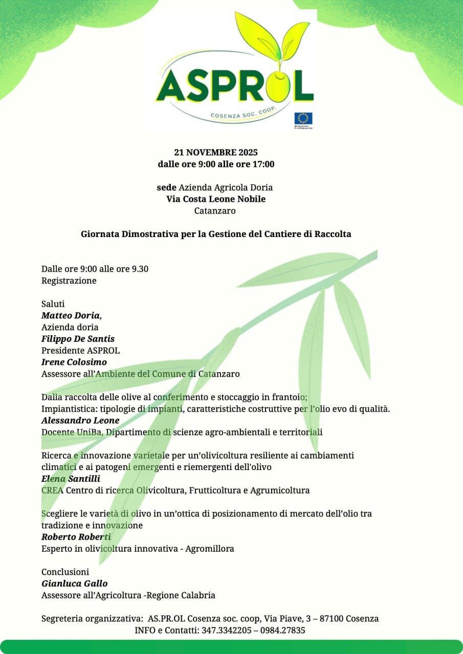 images A Catanzaro giornata dimostrativa sulla gestione del cantiere di raccolta delle olive promossa da Asprol 