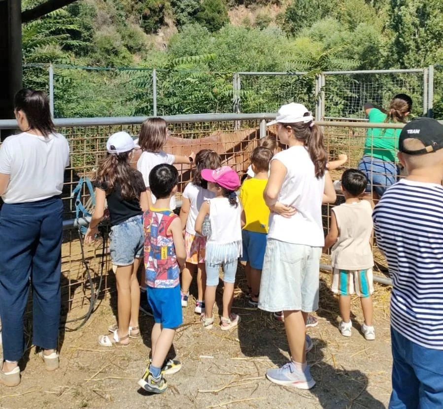 Campus Valle dei Mulini a Catanzaro: i piccoli diventano "Supereroi Digitali" con DIGITI-AMO

