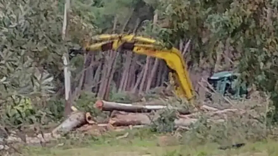 images Belfiore: “Chi ha autorizzato lo scempio dell’Oasi Marina di Scolacium?”