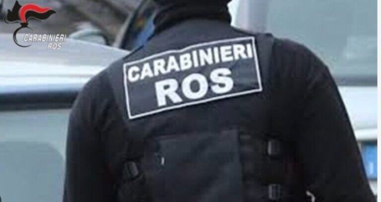 Blitz anti ‘ndrangheta a Cosenza, l’apprezzamento del SIM Carabinieri ai colleghi impegnati nell’operazione images Blitz anti ‘ndrangheta a Cosenza, l’apprezzamento del SIM Carabinieri ai colleghi impegnati nell’operazione