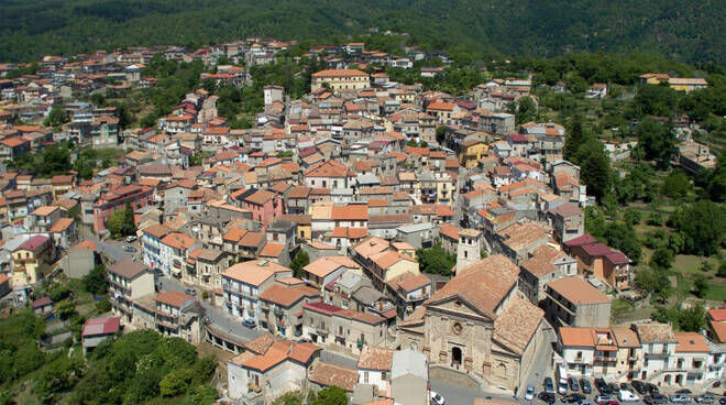 images Petronà, il Consiglio Comunale approva l’adesione alle Città dell’Olio e il nuovo regolamento per il legnatico