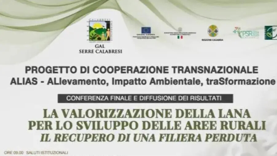 images Gal Serre Calabresi, valorizzazione della lana locale: il 14 giugno la presentazione dello studio alla Cittadella regionale