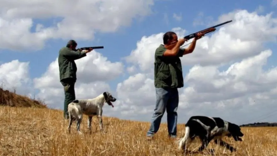 Attività venatoria: Legambiente, Lipu BirdLife e WWF soddisfatte delle scelte della Regione images Attività venatoria: Legambiente, Lipu BirdLife e WWF soddisfatte delle scelte della Regione