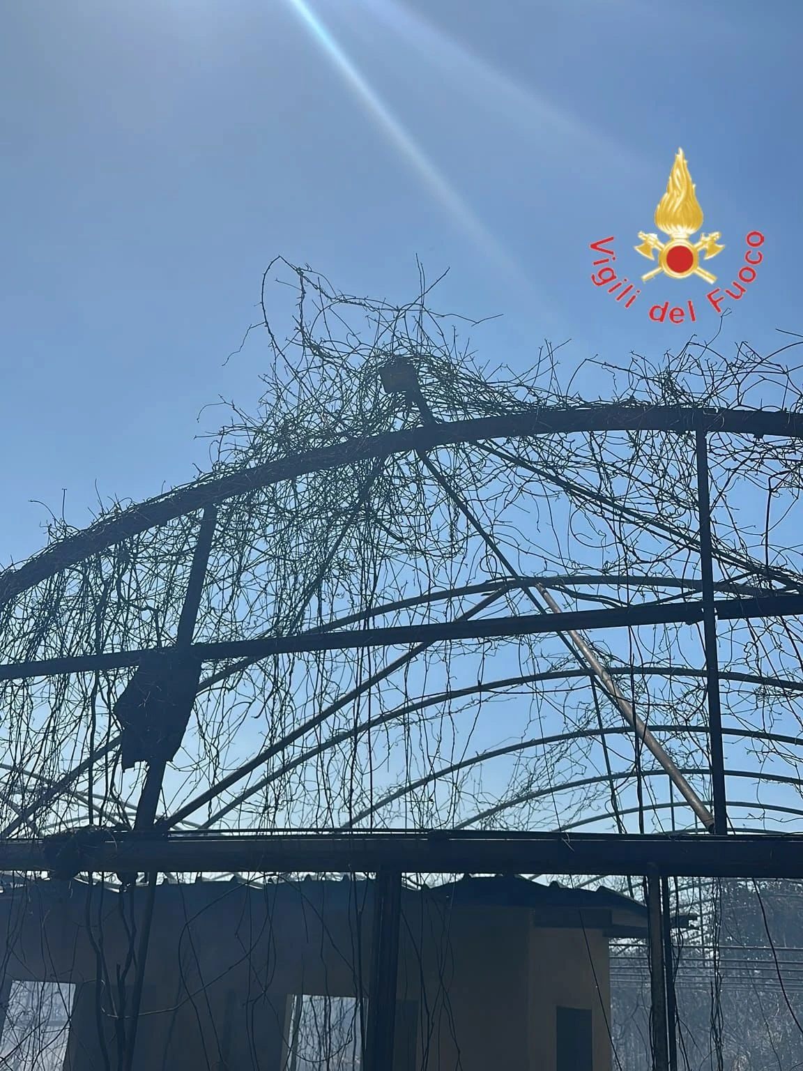 Lamezia, vasto incendio di vegetazione lungo la SS18: coinvolte serre, un fabbricato aziendale e la linea ferroviaria
