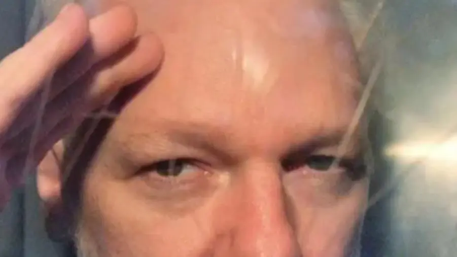 Polistena conferisce la cittadinanza onoraria a Julian Assange images Polistena conferisce la cittadinanza onoraria a Julian Assange
