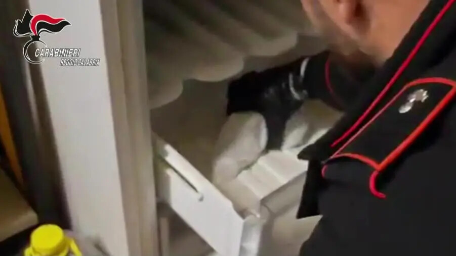 images Armi clandestine e munizioni nel freezer, in manette un cacciatore a Cinquefrondi