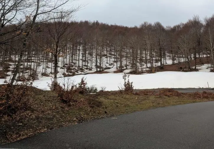images Poca neve nella Sila catanzarese: si paventa una possibile crisi idrica nel periodo estivo