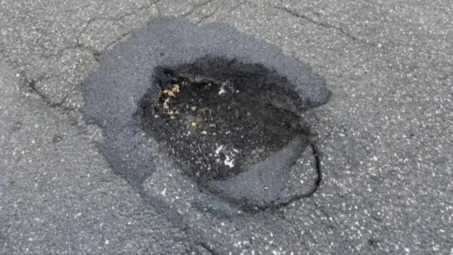 images Catanzaro, la segnalazione di Costa: "Una buca in via Molise davanti la fermata scuolabus mette a rischio la sicurezza dei bimbi"