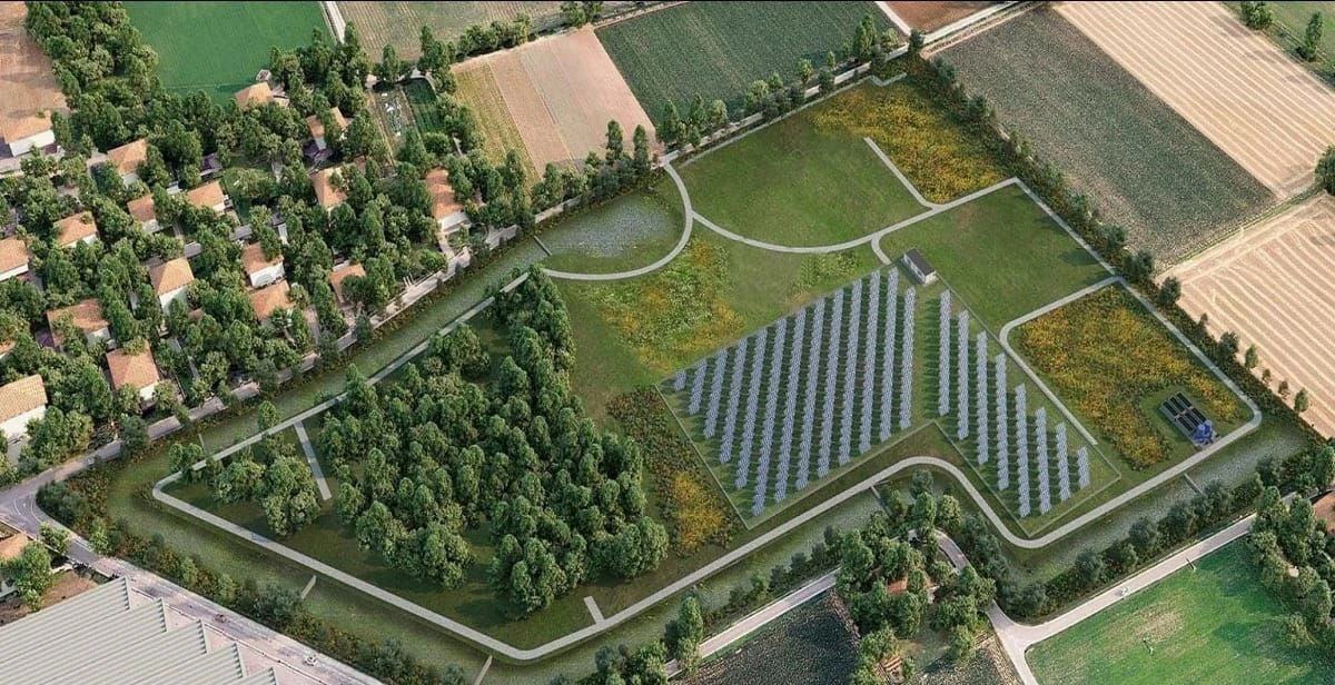 Nasce il Bosco Urbano di Crotone: oltre 2.200 nuovi alberi tra Cimone Rapignese e i quartieri 300 Alloggi e Settembre 291
