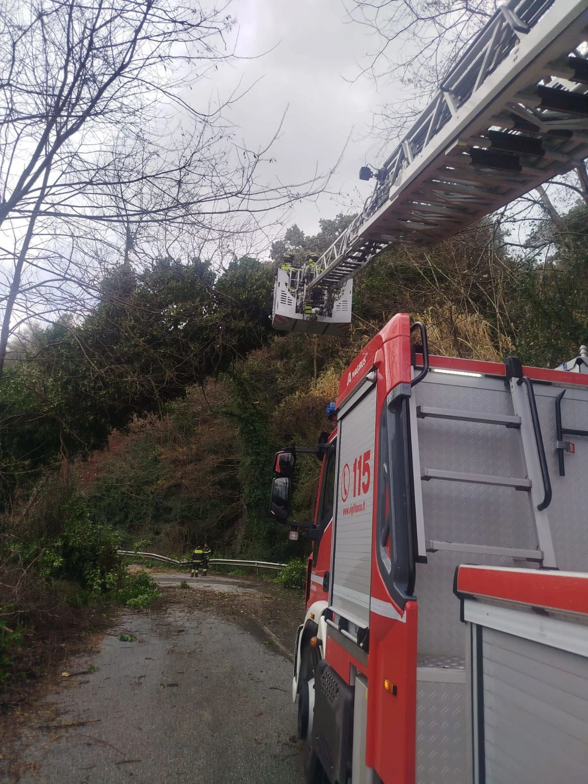 Maltempo, oltre 40 gli interventi effettuati dai Vigili del Fuoco del Comando di Vibo Valentia nelle ultime 24 ore