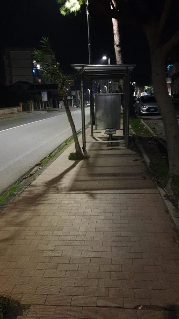 La denuncia di Sergio Costanzo: "Le pensiline dell'Amc ostruiscono il passaggio ai diversamente abili" images La denuncia di Sergio Costanzo: "Le pensiline dell'Amc ostruiscono il passaggio ai diversamente abili"
