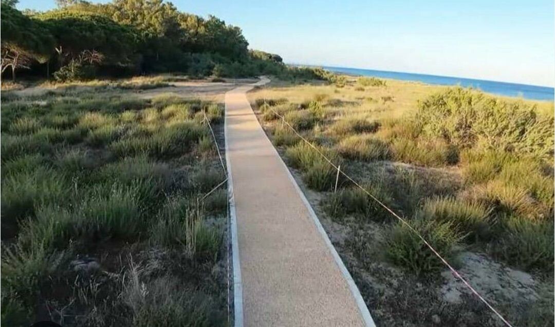 images Giovino, Riccio a Legambiente: "La tutela dell'ambiente va perseguita sempre, non a stagioni alterne"