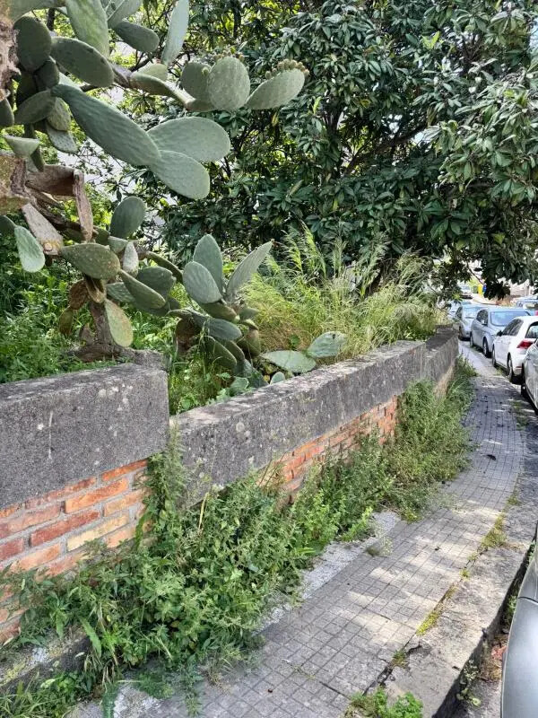 images Alleanza per Catanzaro: "Anche la zona nord è in preda al degrado e all’incuria"