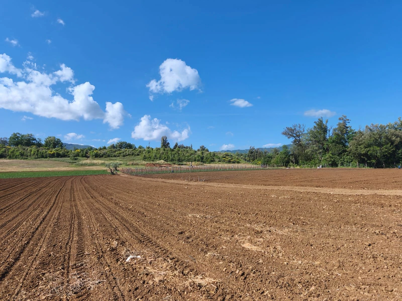 Parte la settima campagna di scavi archeologici a Laino Borgo