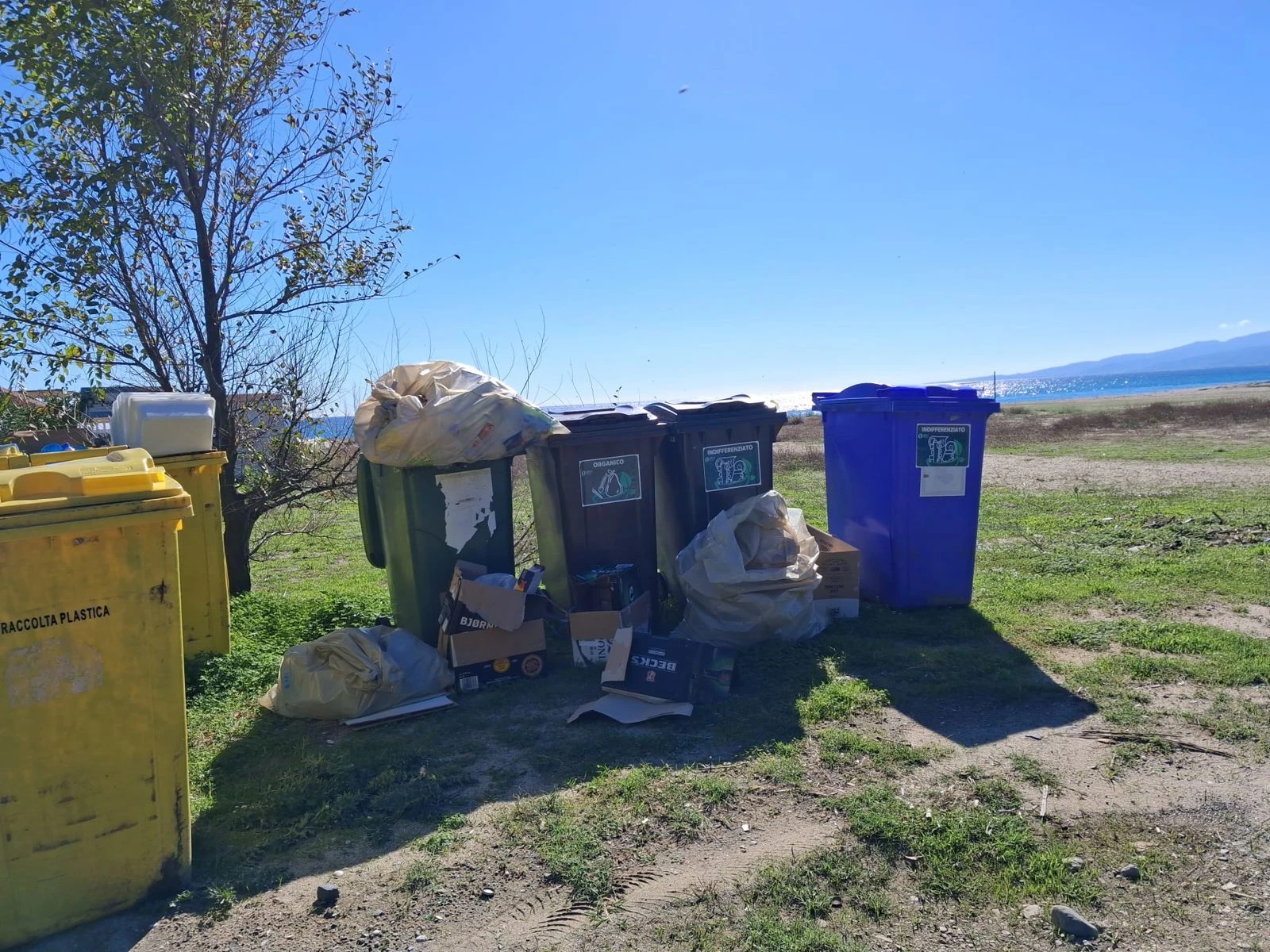 I 'Quartieri catanzaresi': "Degrado insostenibile nella Pineta di Giovino, rifiuti non raccolti da settimane"