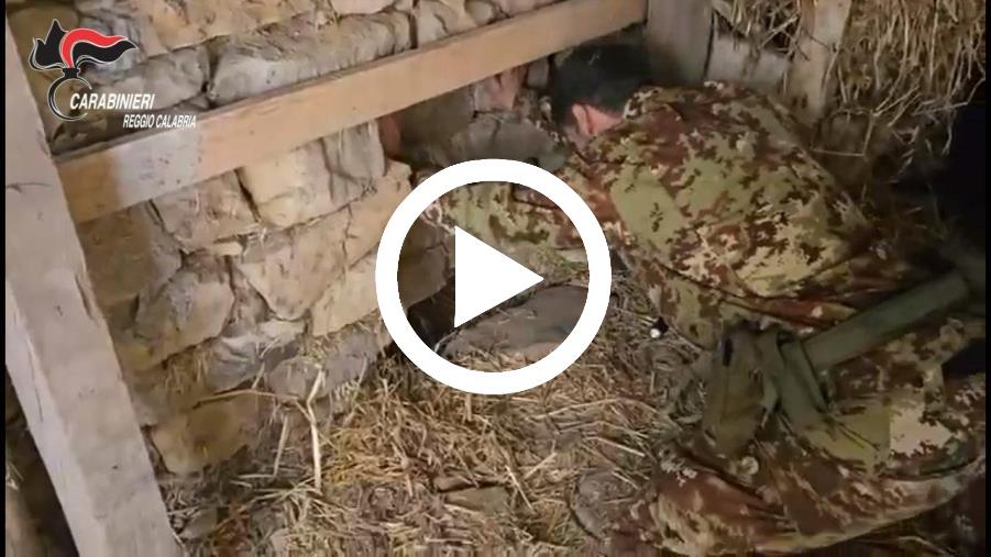 Bunker sotterraneo trasformato in una piantagione di droga: 72enne denunciato nel Reggino 