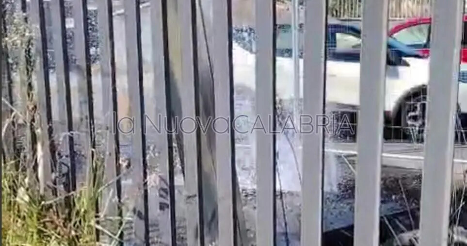 images Catanzaro, danneggiata la condotta idrica durante i lavori Enel: disagi in viale Magna Graecia