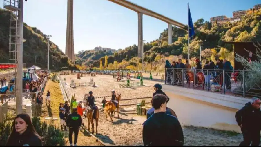 images Centro Ippico Valle dei Mulini: a Catanzaro selezioni per Piazza di Siena e tre giorni di eventi
