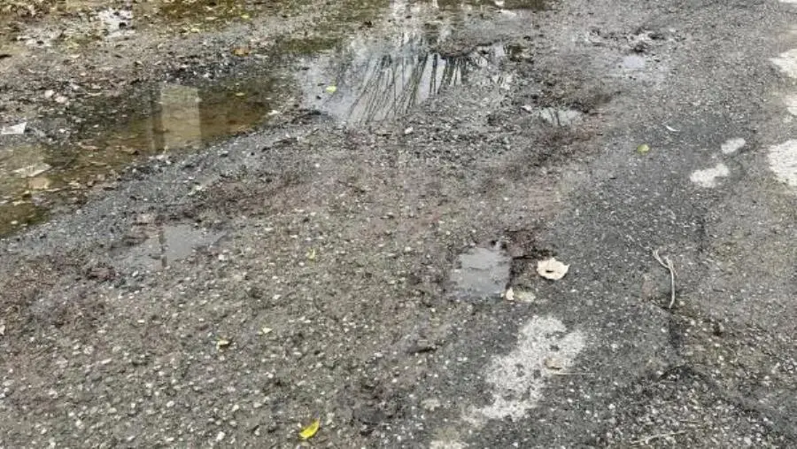 Villaggio Carrao di Cropani Marina: strade dissestate da mesi e il Comune non interviene  images Villaggio Carrao di Cropani Marina: strade dissestate da mesi e il Comune non interviene