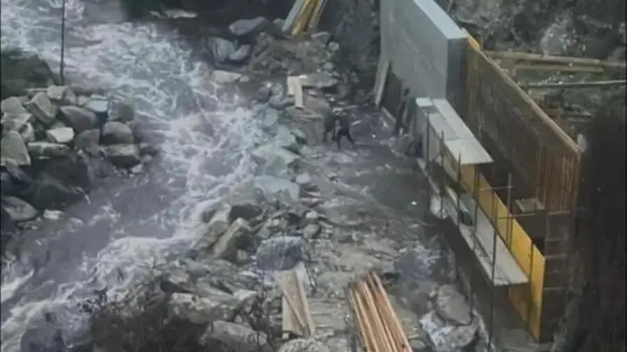 Riserva del Vergari a Mesoraca: il gruppo “Oltre, con noi” denuncia il presunto scempio ambientale images Riserva del Vergari a Mesoraca: il gruppo “Oltre, con noi” denuncia il presunto scempio ambientale