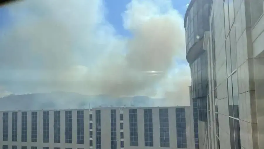 images Catanzaro, incendio nell'area di Germaneto