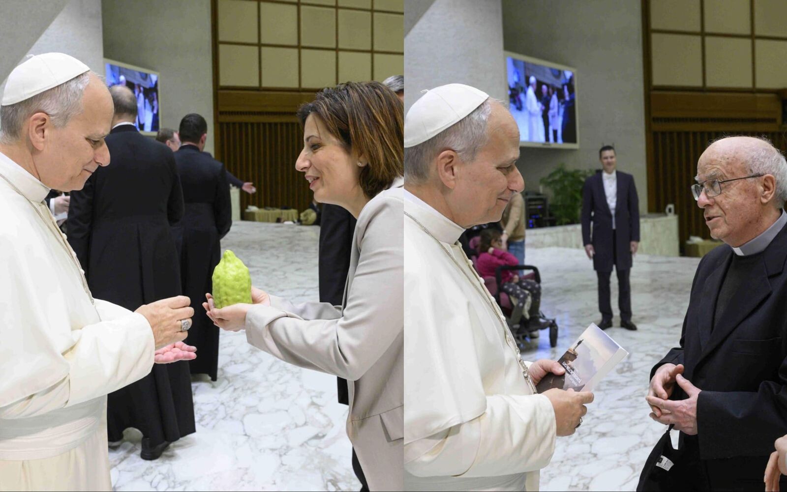 images Papa Leone XIV riceve in dono il Cedro per i 60 anni di sacerdozio di Don Augusto Porso