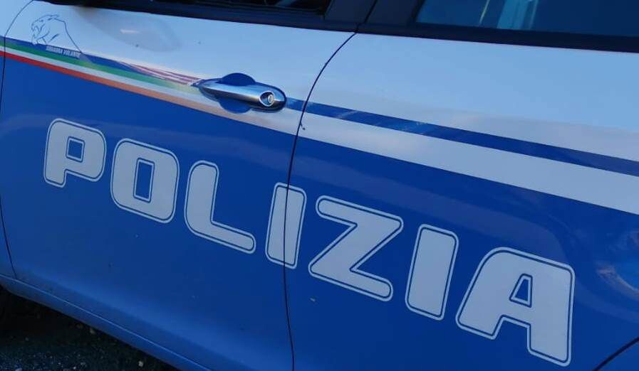 images Maxi piantagione di papavero da oppio scoperta nel Reggino: sequestrate 500 piante