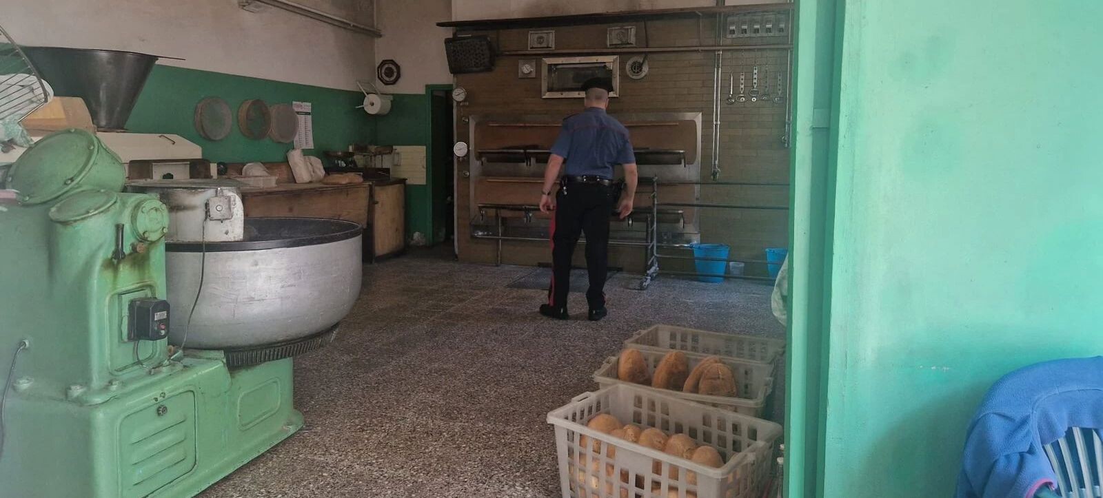 images Controlli coi NAS alle porte della Sila piccola, panificio sanzionato: era adibito anche a deposito di legna 