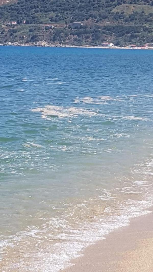 Saccomanno (Lega): “Il dossier Mare Nostrum 2021 di Legambiente deve far riflettere” images Saccomanno (Lega): “Il dossier Mare Nostrum 2021 di Legambiente deve far riflettere”