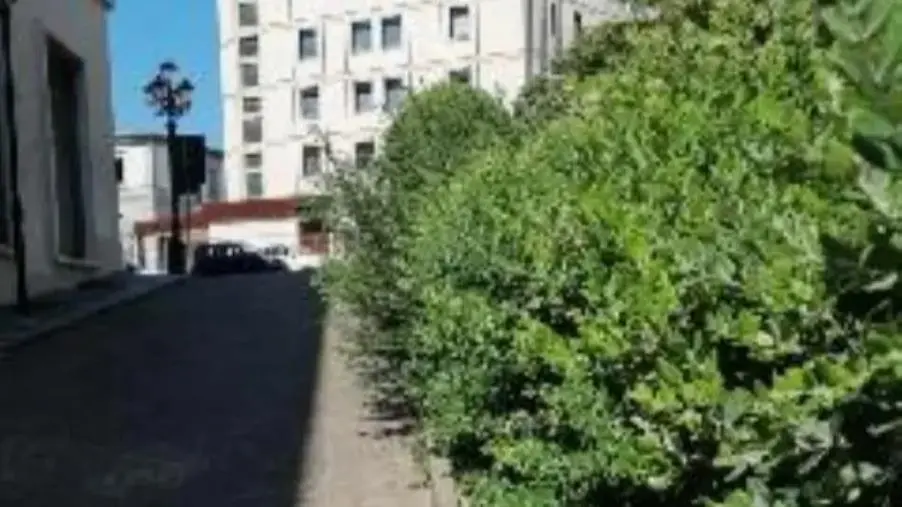 images Degrado nel centro di Catanzaro, la segnalazione di un cittadino