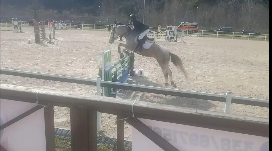 Catanzaro, partite al Centro Ippico “Valle dei Mulini” le selezioni per Piazza di Siena: i primi risultati images Catanzaro, partite al Centro Ippico “Valle dei Mulini” le selezioni per Piazza di Siena: i primi risultati