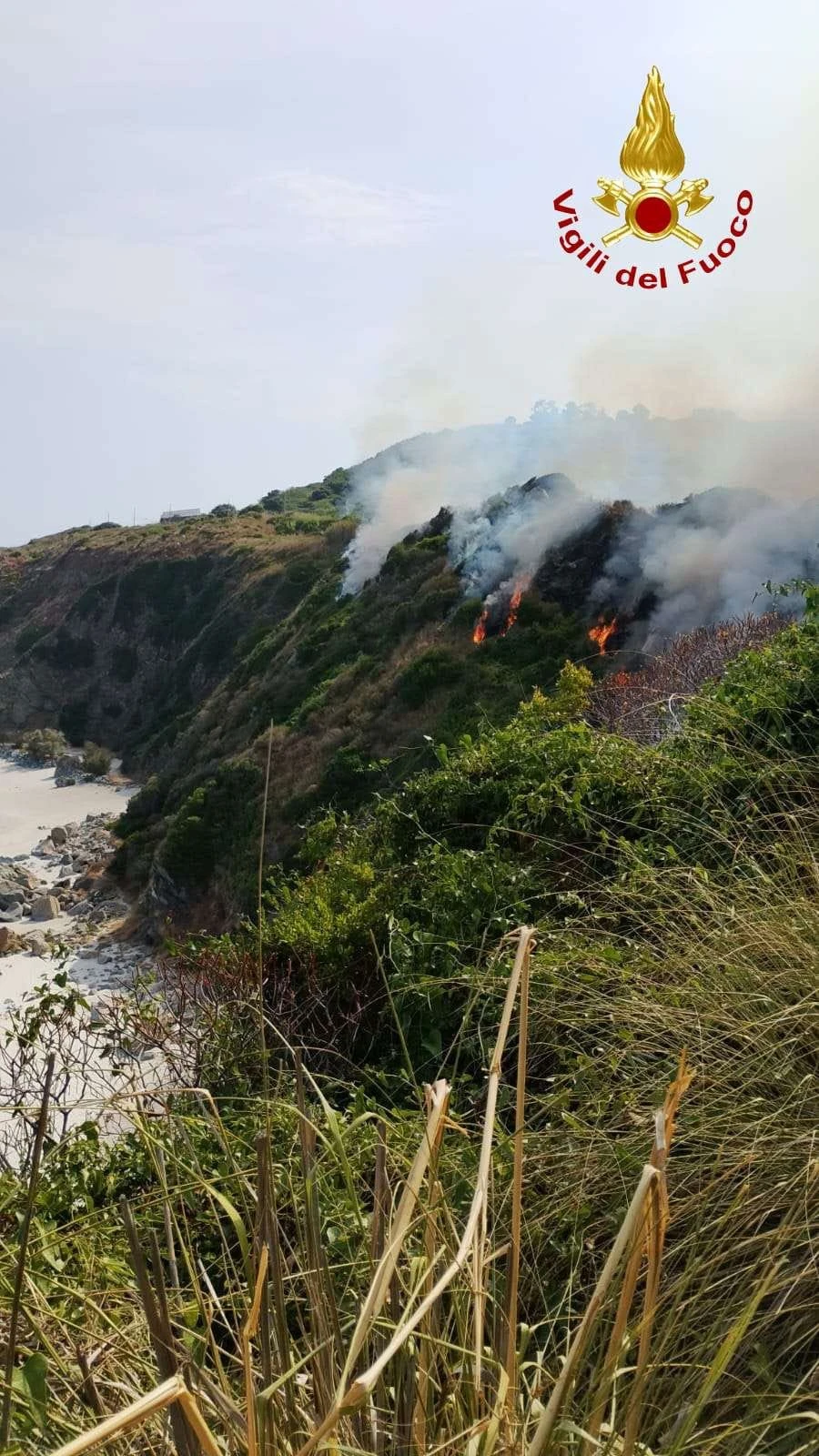 Vasto incendio a Zambrone, in azione Vigili del Fuoco e mezzo aereo