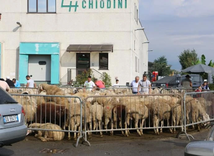 Osservatorio Permanente Ambiente e Territorio: "Stop alle macellazioni cruente islamiche"