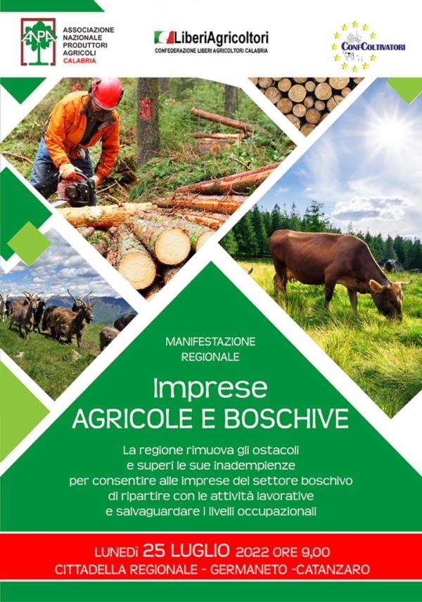 Anpa-Liberi Agricoltori Calabria e Confcoltivatori il 25 luglio scendono in piazza contro la Regione images Anpa-Liberi Agricoltori Calabria e Confcoltivatori il 25 luglio scendono in piazza contro la Regione