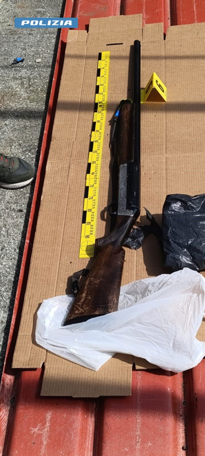 Scoperto arsenale clandestino e della cocaina nel Reggino: un arresto images Scoperto arsenale clandestino e della cocaina nel Reggino: un arresto