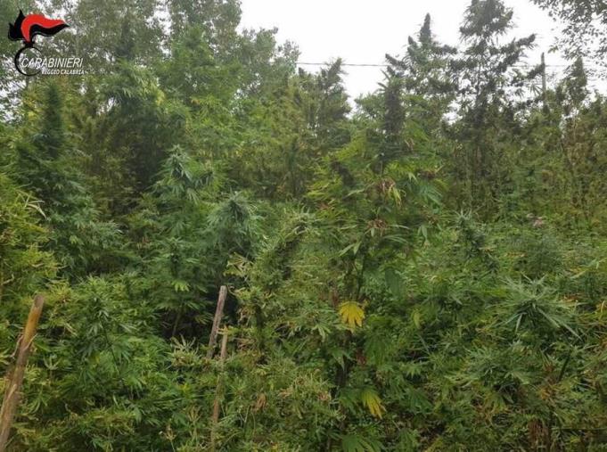 images Nuovo Cinema Pugliese, altri Dvd donati dall’associazione Universo minori