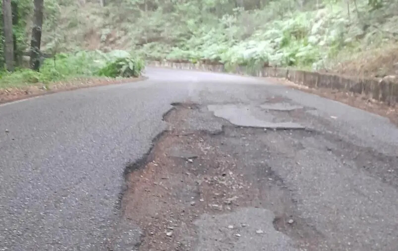 Elio Mauro: "La Sila piccola non deve essere maltrattata" images Elio Mauro: "La Sila piccola non deve essere maltrattata"